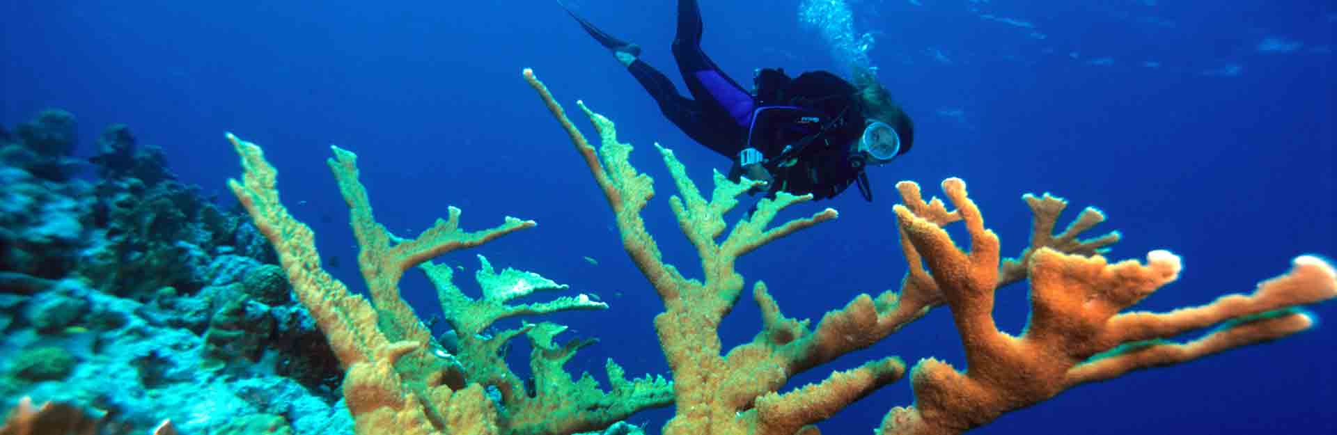 Water sports, Sea bottom, Los Canarreos Archipelago, Fishing, Beachesl